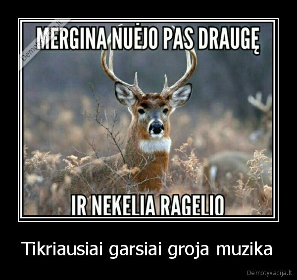 Tikriausiai garsiai groja muzika