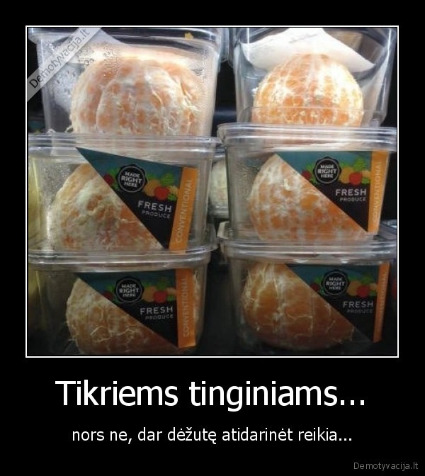 Tikriems tinginiams...