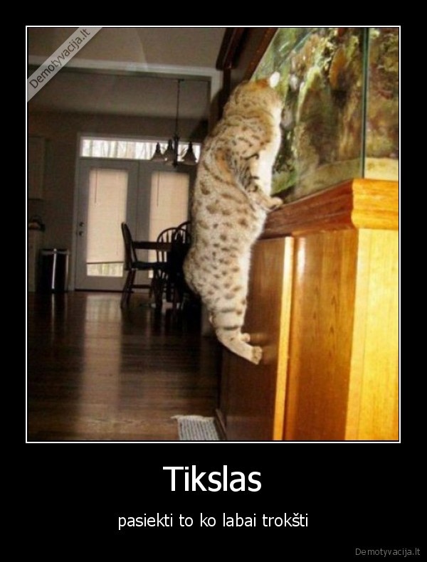 Tikslas