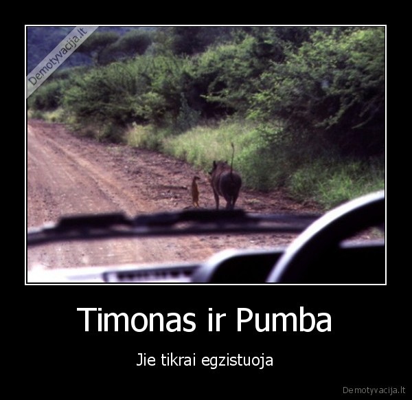Timonas ir Pumba