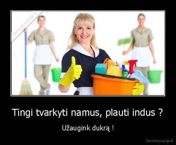 Tingi tvarkyti namus, plauti indus ?