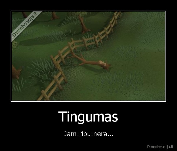 rs,runescape,runes, cape,tingumui,ribu,nera