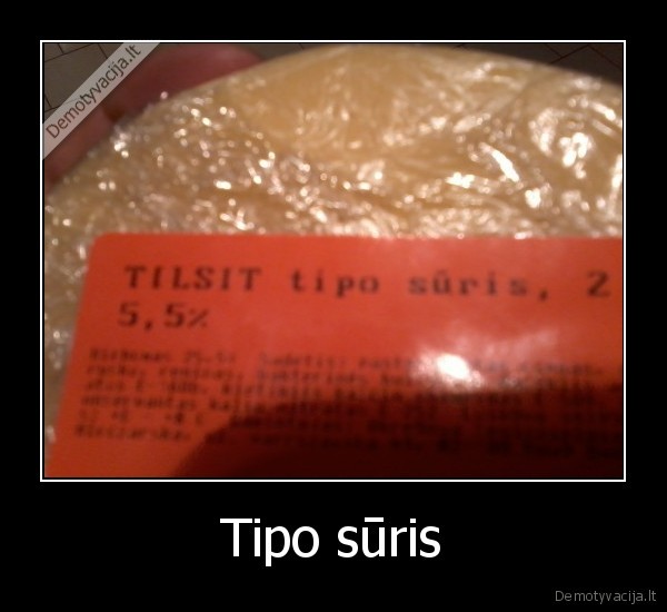 Tipo sūris