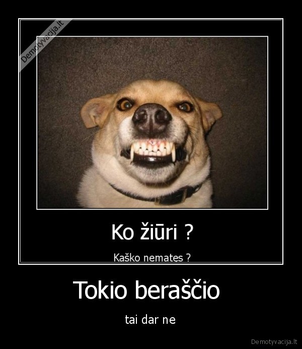 Tokio beraščio 