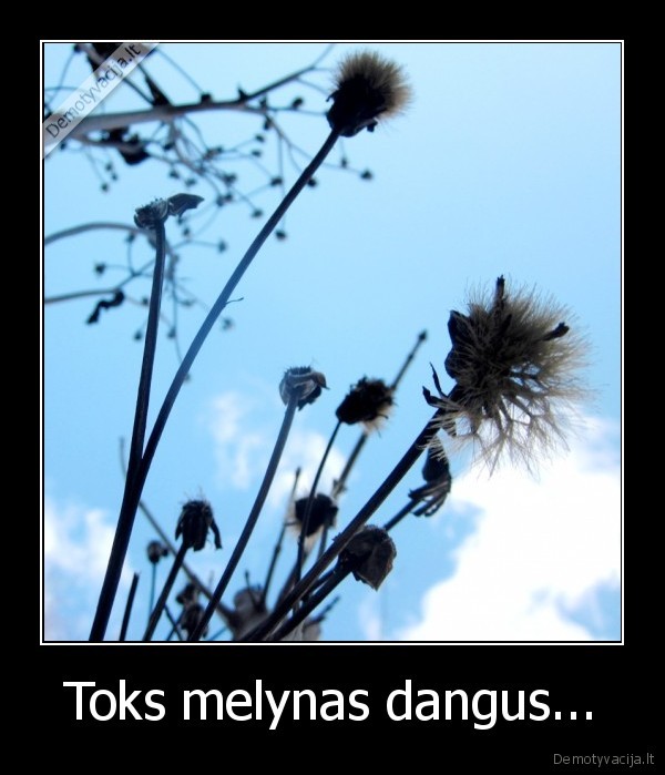 Toks melynas dangus...