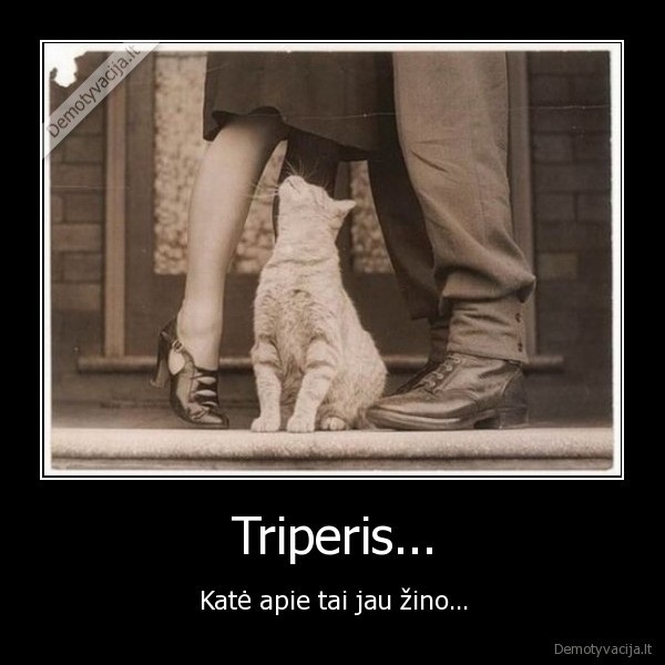 Triperis...