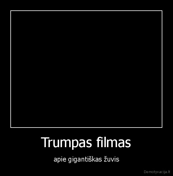 thevig,thevigtv,gyvenimas,zuvys,trumpas, filmas,viglioshius