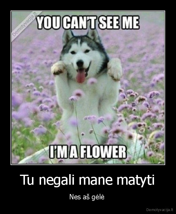 Tu negali mane matyti