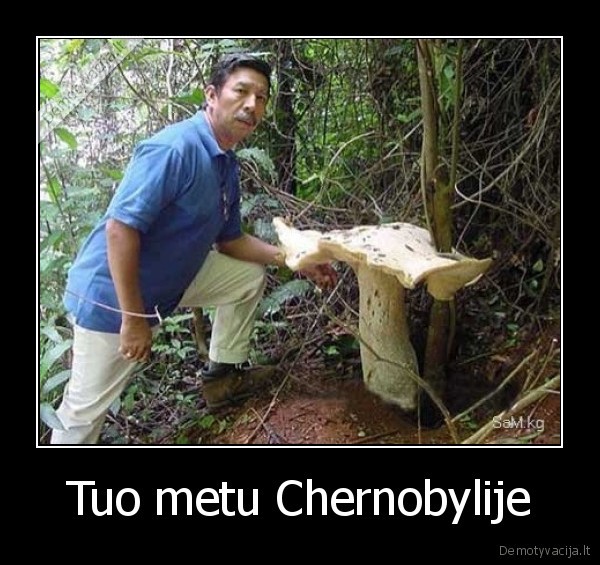 Tuo metu Chernobylije