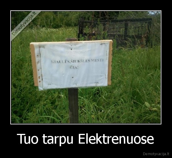 siuksles,kiaules,elektrenai