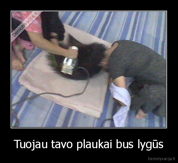 Tuojau tavo plaukai bus lygūs