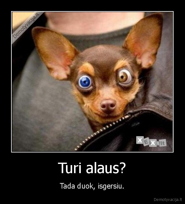 Turi alaus?