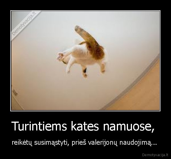 Turintiems kates namuose, 