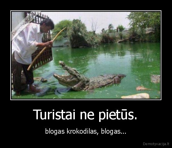 krodkodilas,turistas,gyvunas