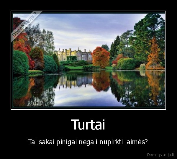 Turtai