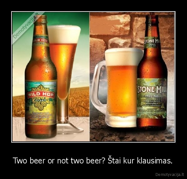 Two beer or not two beer? Štai kur klausimas.