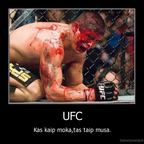 UFC