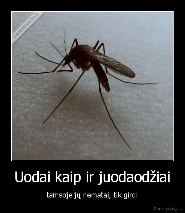 Uodai kaip ir juodaodžiai