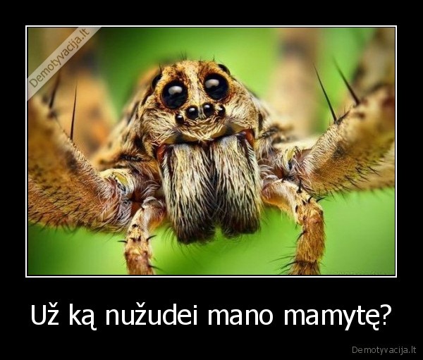 nuzudei,mamyte