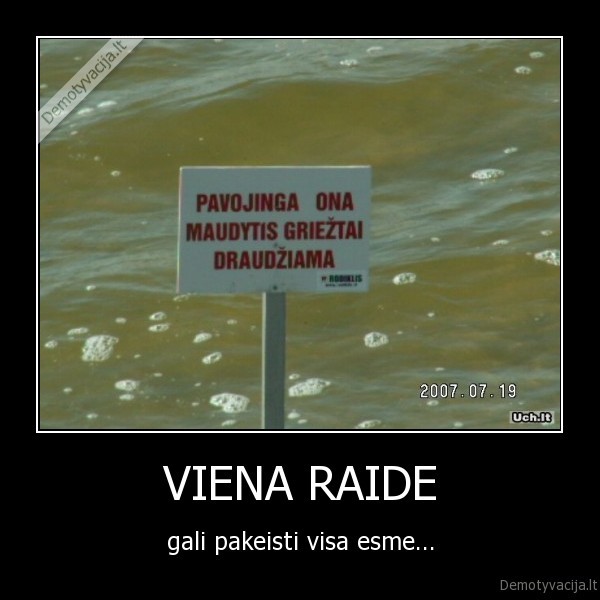 VIENA RAIDE