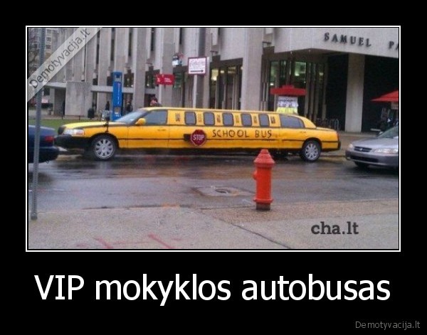 VIP mokyklos autobusas