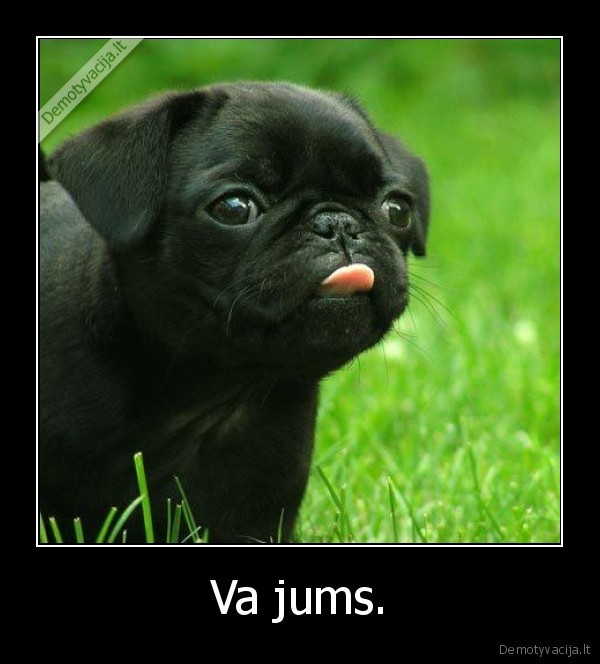 Va jums.