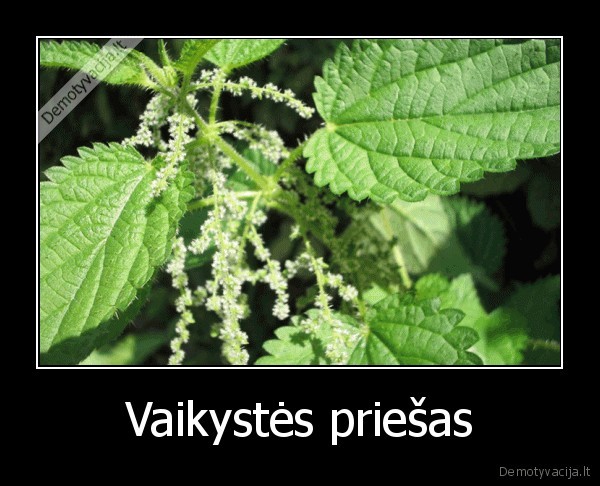 Vaikystės priešas