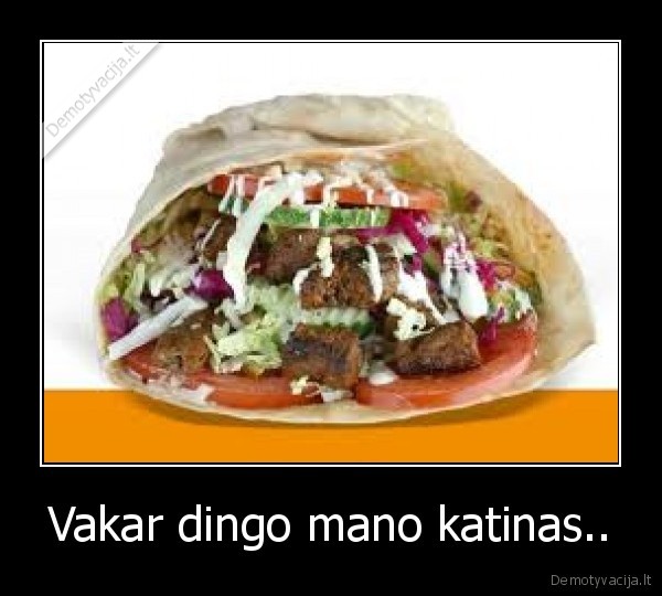 kebabas,katinas,maistas