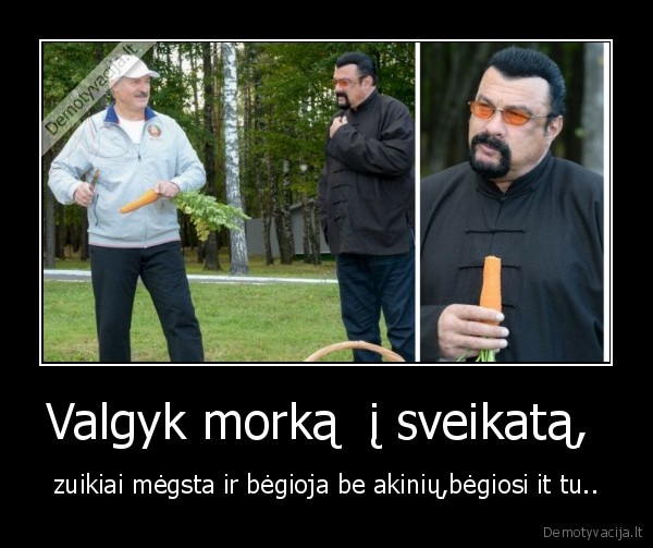 lukasenka,seagalas,morka,zuikis