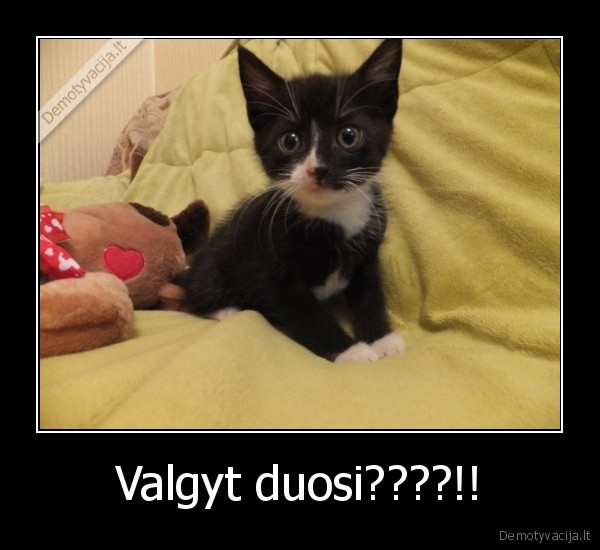 Valgyt duosi????!!