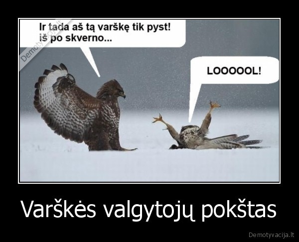 Varškės valgytojų pokštas