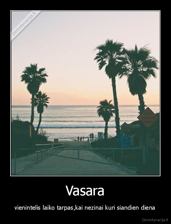 Vasara