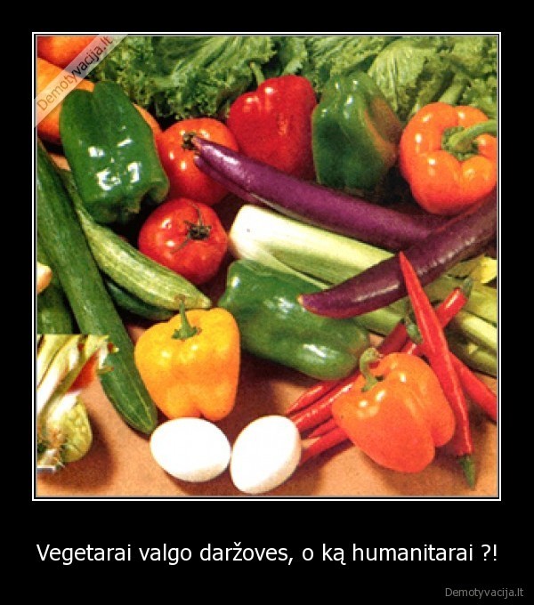 Vegetarai valgo daržoves, o ką humanitarai ?!