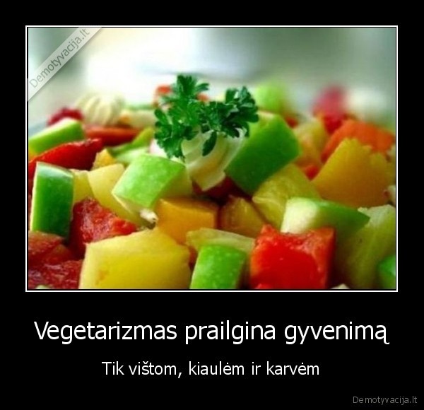 vegatarizmas,sudas,maistas