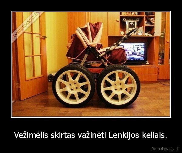 Vežimėlis skirtas važinėti Lenkijos keliais.