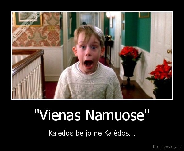 &quot;Vienas Namuose&quot;