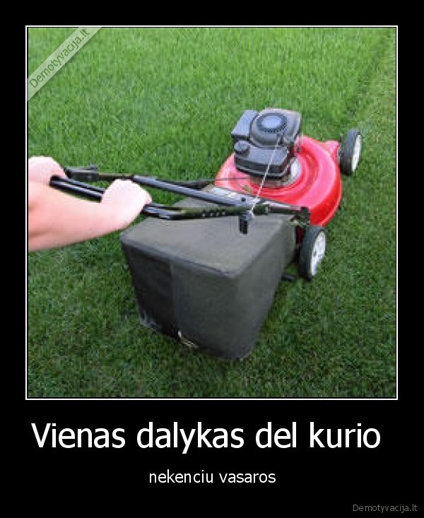 Vienas dalykas del kurio 