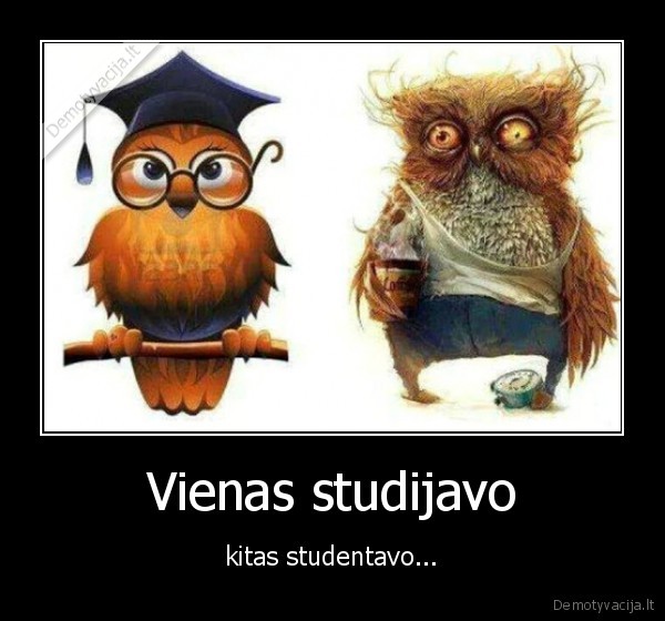 Vienas studijavo