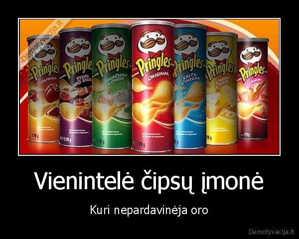 Vienintelė čipsų įmonė