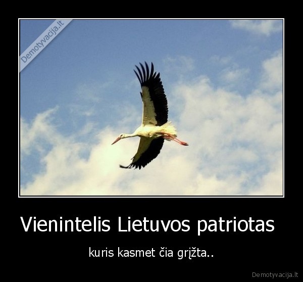 Vienintelis Lietuvos patriotas 