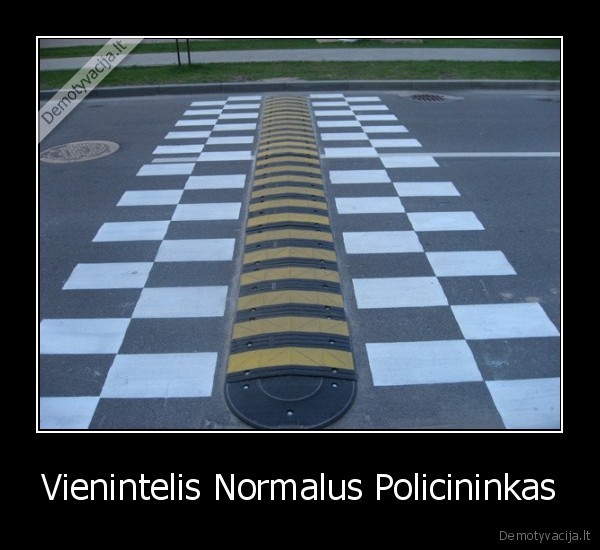 Vienintelis Normalus Policininkas