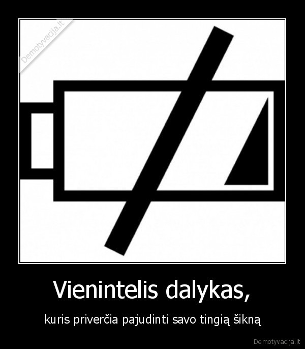 Vienintelis dalykas,