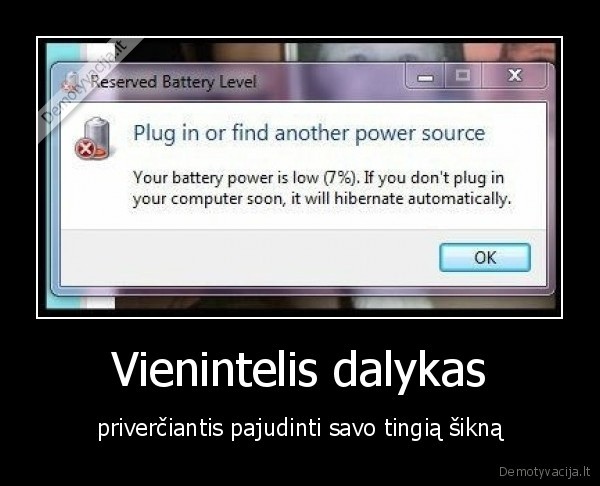 Vienintelis dalykas