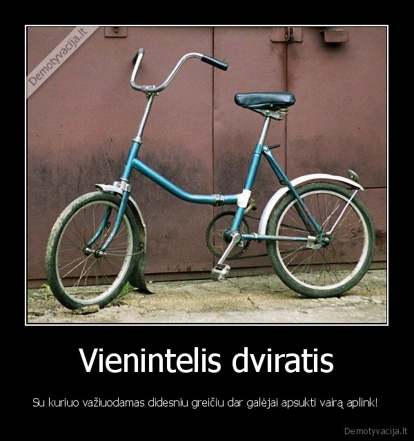 Vienintelis dviratis