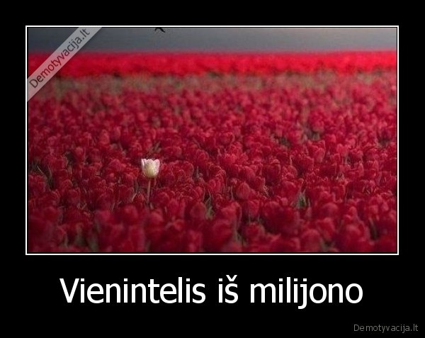 Vienintelis iš milijono