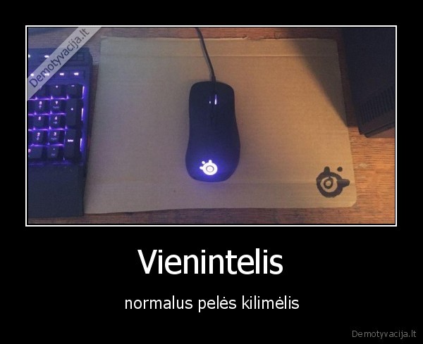 Vienintelis