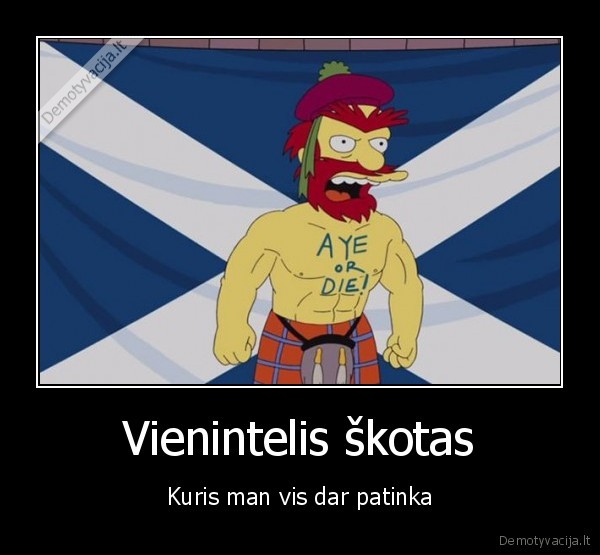 vilis,simpsonai,lietuva, skotija