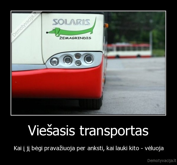 viesasis, transportas,troleibusai,autobusai