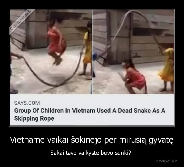 vietnamas,gyvate