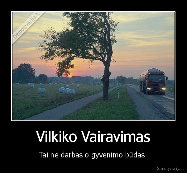 Vilkiko Vairavimas